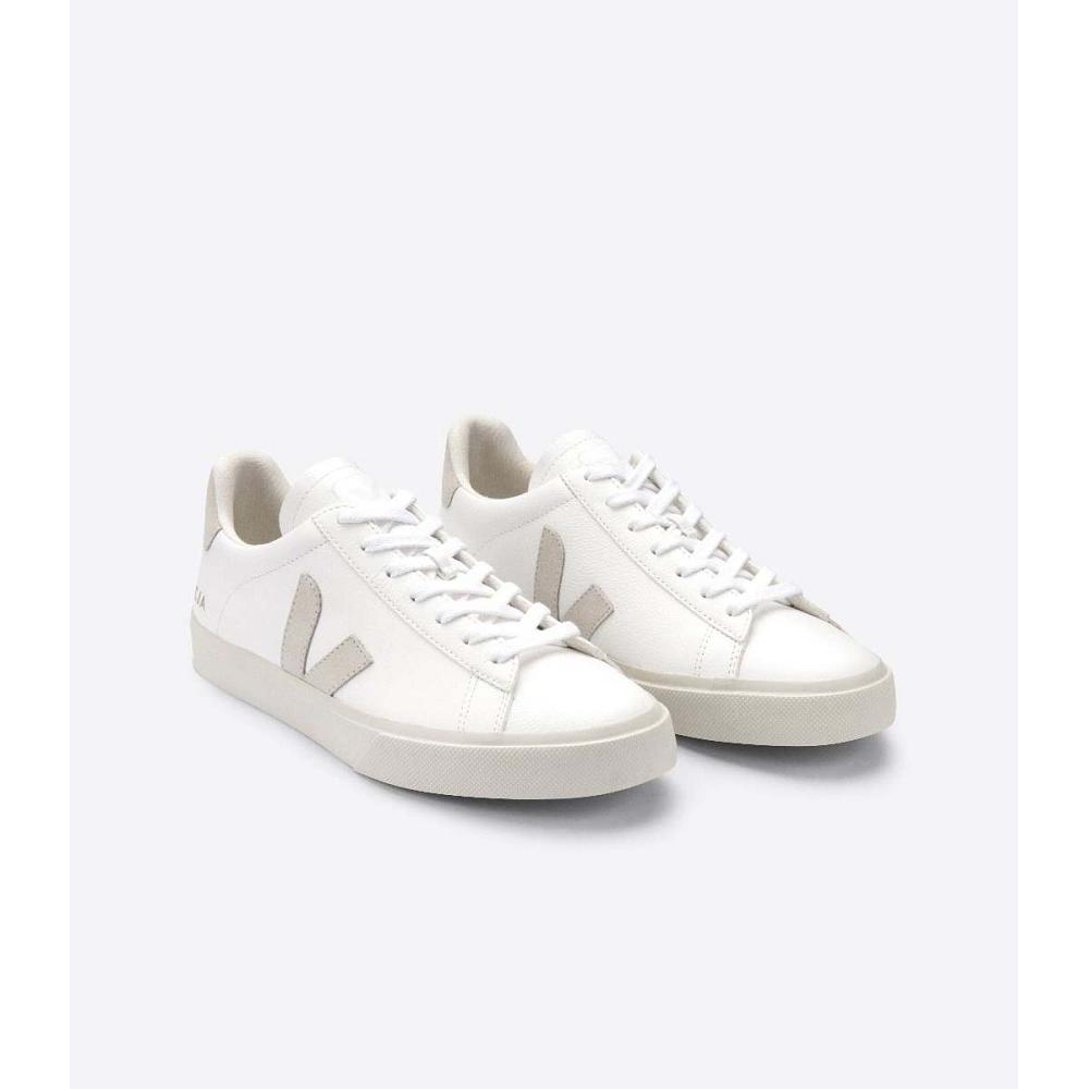 Low Tops Sneakers Barbati Veja CAMPO CHROMEFREE White/Beige | RO 203KOR